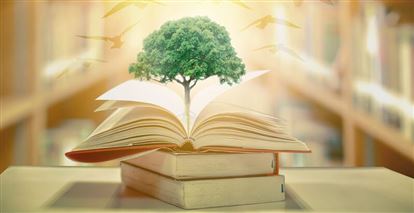 Lịch sử phát triển