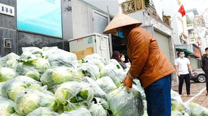 Airtech Thế Long phát rau miễn phí cho bà con khu vực Long Biên trong 5 ngày