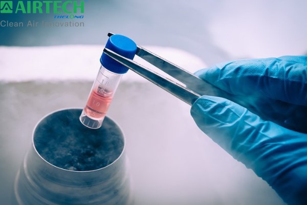 Lưu trữ tế bào gốc là gì