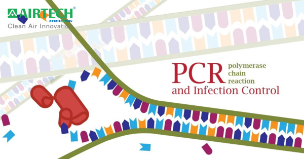 PCR (polymerase chain reacion)