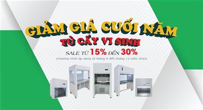 Sale khuyến mãi 2/9 | Mừng ngày Quốc Khánh Việt Nam 2022