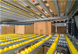 Kệ lưu trữ thùng carton